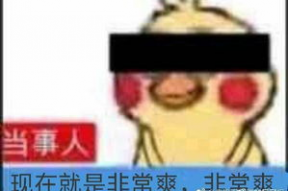 娱乐吃瓜鹅君,揭秘娱乐圈那些不为人知的幕后故事