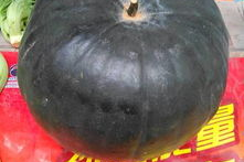 东瓜娱乐吃瓜,揭秘娱乐圈那些吃瓜背后的故事