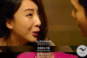 兔兔吃瓜娱乐肖宇梁,肖宇梁成焦点