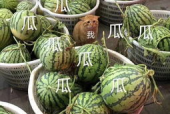 娱乐吃瓜头像,吃瓜群众眼中的明星幕后故事