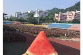 学姐吃瓜娱乐,校园八卦背后的娱乐与真相