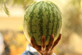 娱乐吃瓜公司,揭秘娱乐圈幕后那些事儿