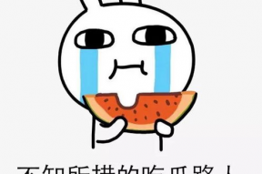 吃瓜娱乐去哪里了,揭秘幕后真相与未来走向