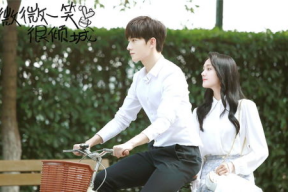 娱乐圈吃瓜夫妻小说推荐,揭秘那些隐藏在闪光灯下的爱情故事