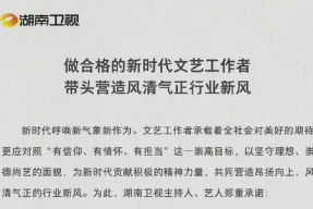 娱乐圈吃瓜报告