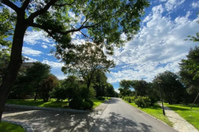 娱乐吃瓜鱼塘,吃瓜鱼塘里的那些事儿