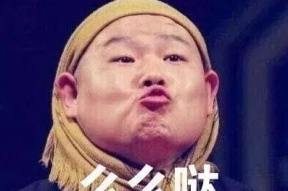 刘二豆娱乐吃瓜君,揭秘网红萌宠背后的故事