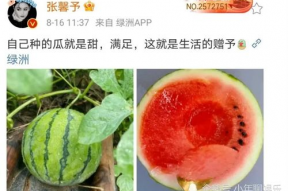 娱乐吃瓜料,明星们的幕后故事与八卦风云