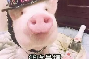 娱乐吃瓜酱我不丑,吃瓜酱“我不丑”背后的网红现象解析