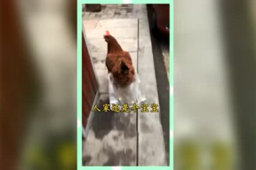 吃瓜群众的娱乐网名,揭秘围观时代的娱乐心态