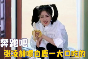 娱乐吃瓜酱白鹿,娱乐吃瓜酱的甜蜜蜕变之旅