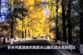 娱乐吃瓜君17,揭秘娱乐圈最新热点事件