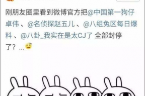 娱乐吃瓜总结,揭秘明星幕后故事